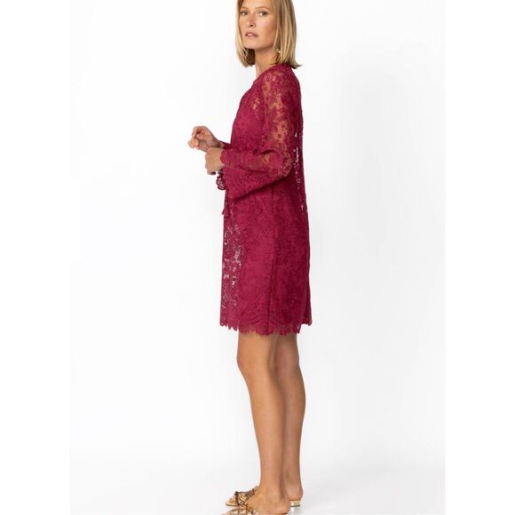 NEW JOHNNY WAS Women’s S Harper Lace Mini Dress  $388 MSRP - Picture 3 of 9